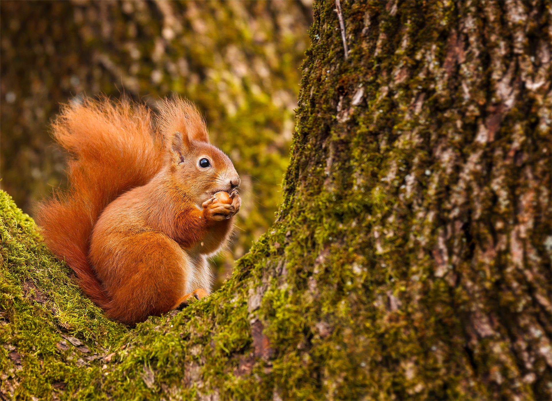 Automne - hiver, une transition importante